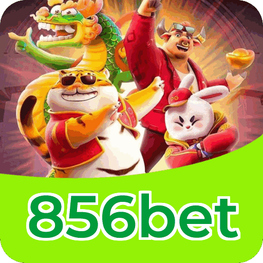Instalar APK 856bet